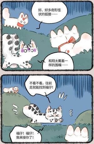 第819话 奇形怪状的狐狸.jpg